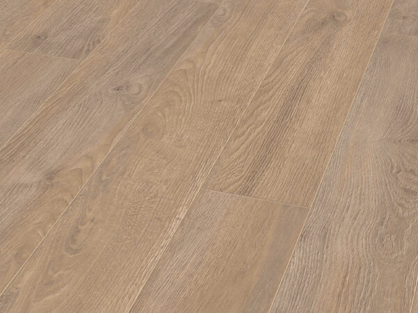 Shop Elba-Oak-Beige-laminate flooring