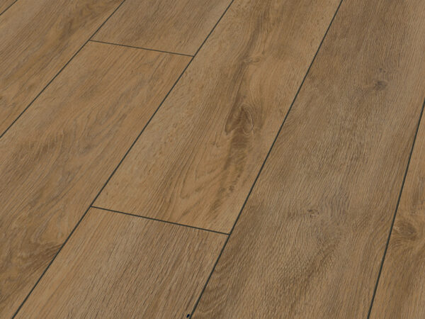 shop Premium-Oak-brown laminate flooring