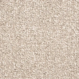 170 Taupe carpets